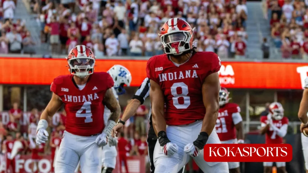 What is a TFL in Football?