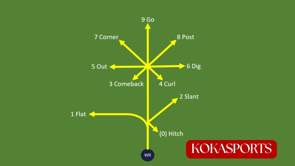 The 9 Routes Explained: Route by Route Breakdown