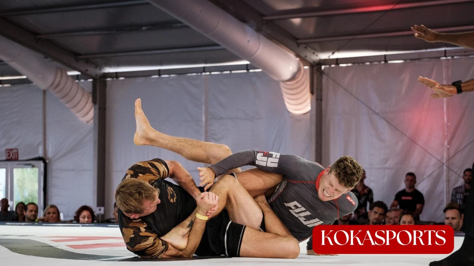 Combat Sports & How They Inspire Other Niche Sports