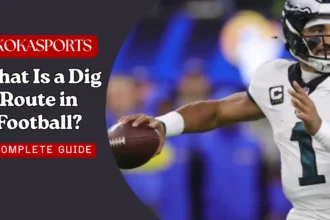 What Is a Dig Route in Football? Complete Guide to the Route Tree & Receiver Routes