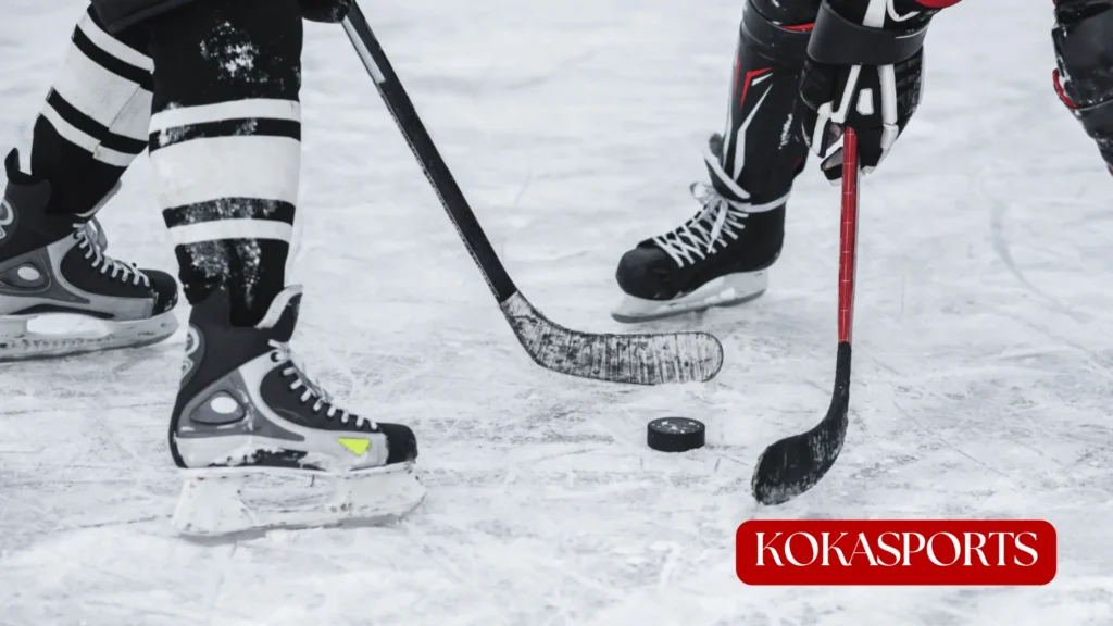 NHL Playoff Overtime Rules: Completely Different Beast