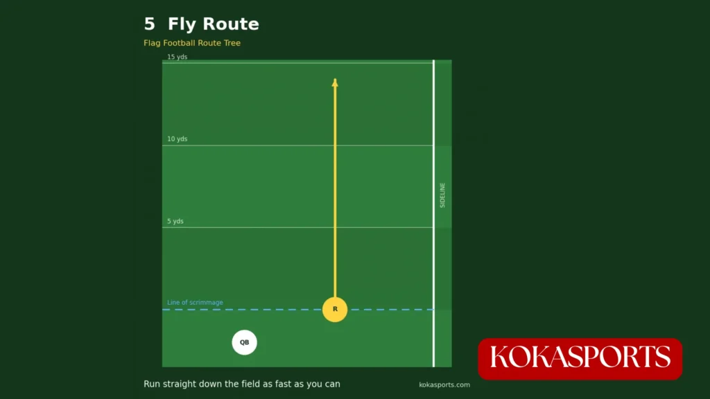 Fly Route