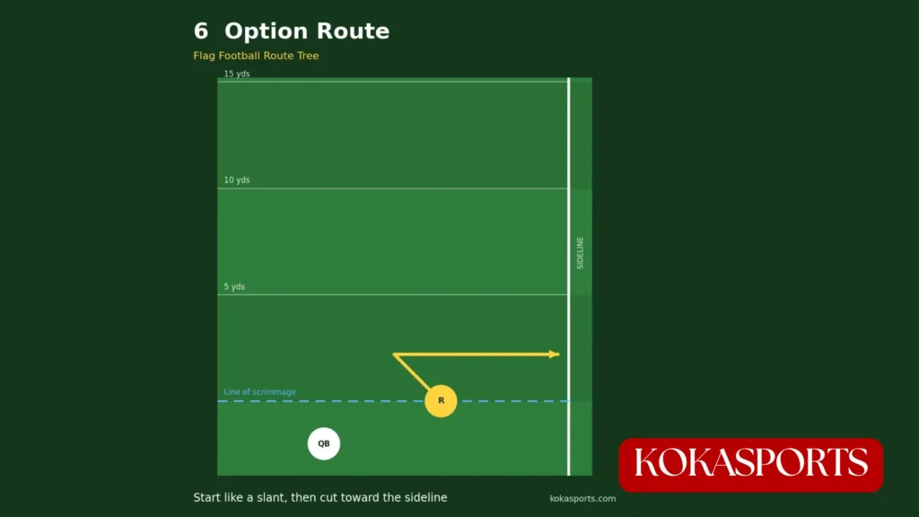 Option Route